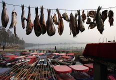Carne seca de peixe e pato em Wuhan