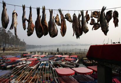 Carne seca de peixe e pato em Wuhan