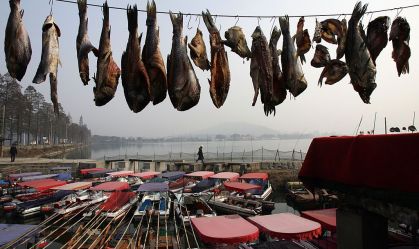 Carne seca de peixe e pato em Wuhan