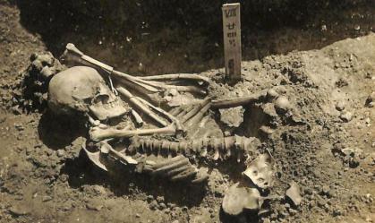 Cientistas descobrem a mais antiga vítima de um ataque de tubarão, de 3 mil anos