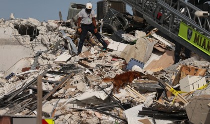 Com ajuda de cão-farejador, bombeiro procura desaparecidos na Flórida