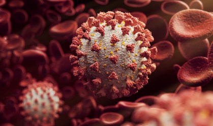 Patamar mínimo ideal de vacinação sobe a cada nova variante, diz pesquisador