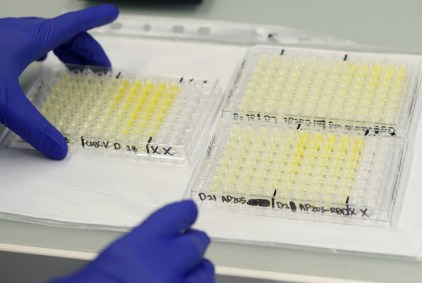 Estudo detectou mais de 200 mutações genéticas do novo coronavírus