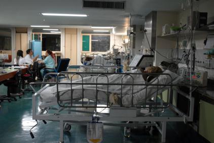 Capital brasileira tem melhor distribuição de médicos do país