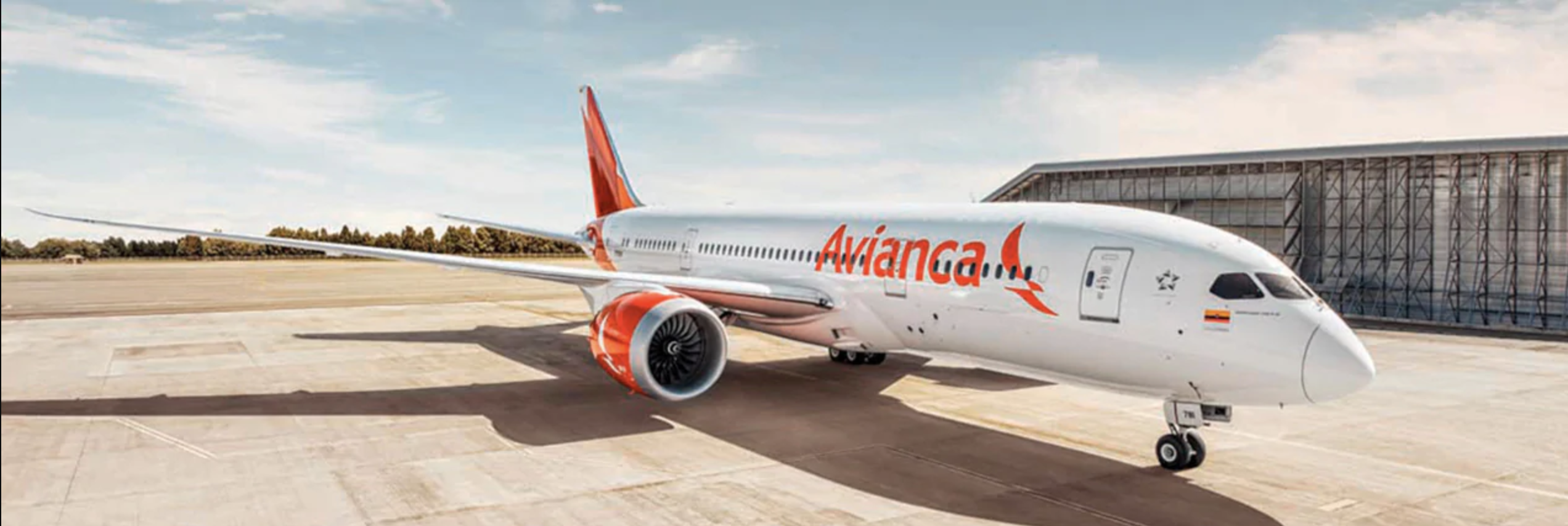 Avião da companhia aérea Avianca