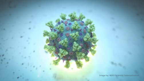 Imagem da estrutura do betacoronavírus, como o novo coronavírus