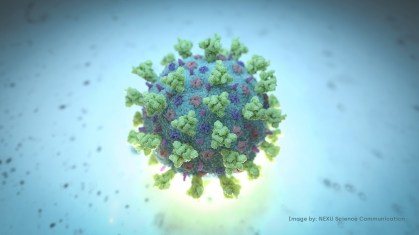 Imagem da estrutura do betacoronavírus, como o novo coronavírus