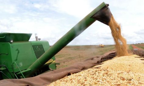 A queda no total de produtos exportados de Goiás para a China chega a 58,4% em j