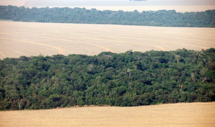 CEOs veem risco à imagem do Brasil em regularização fundiária debatida na Câmara