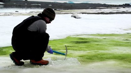 Pesquisador da Universidade de Cambridge coleta amostras de alga em ilha da Antá