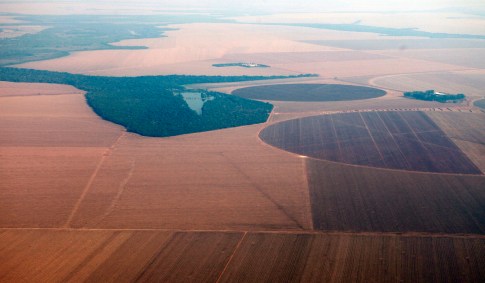 Vista aérea de plantação de soja no Mato Grosso