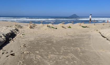 Com madeira e areia, moradores fecham praias e simulam covas em São Sebastião