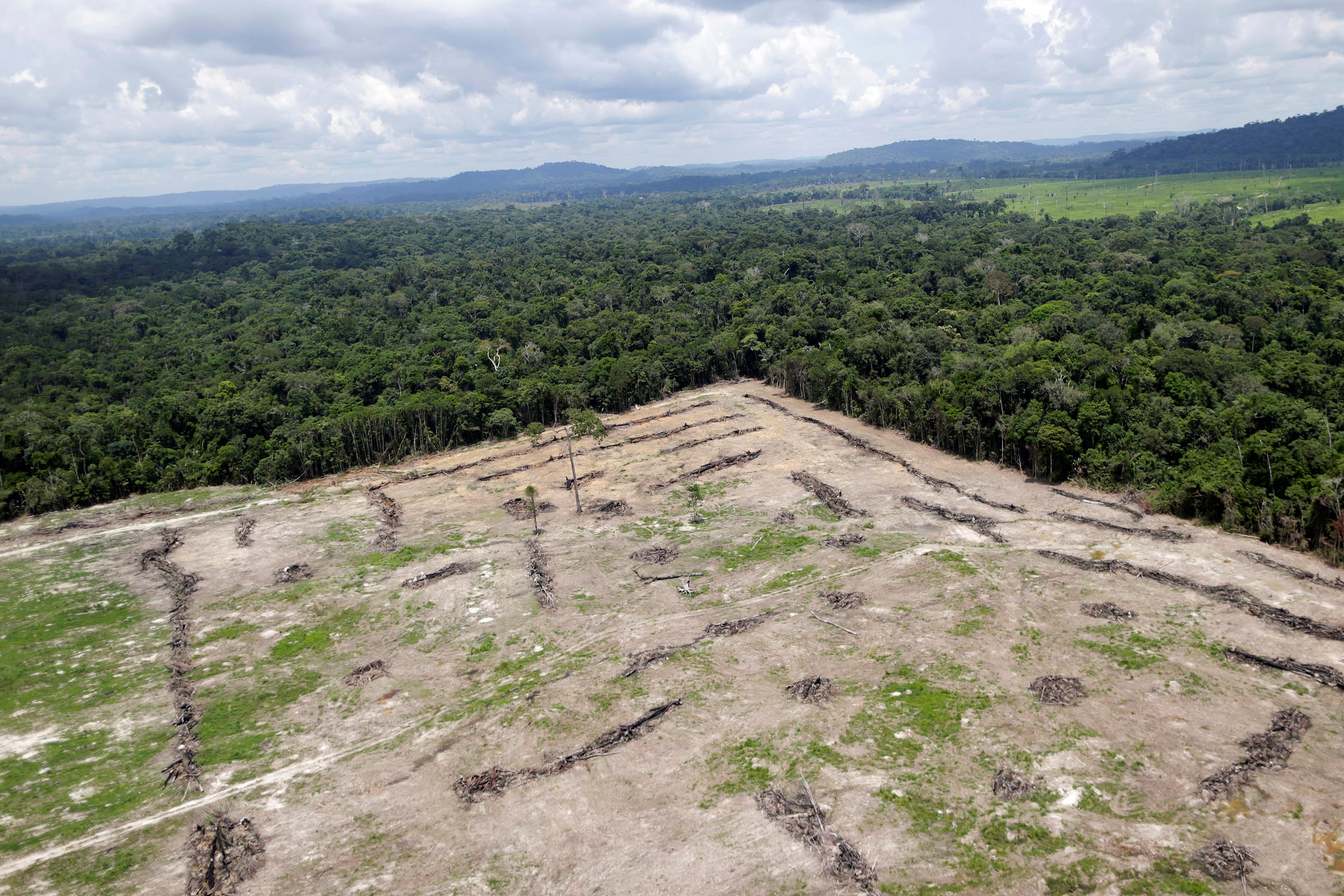 Desmatamento, Amazônia
