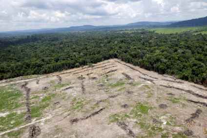 Desmatamento, Amazônia