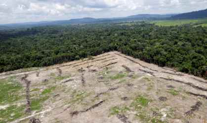 Desmatamento e agropecuária elevam emissões de gases do efeito estufa no Brasil