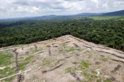 Desmatamento, Amazônia
