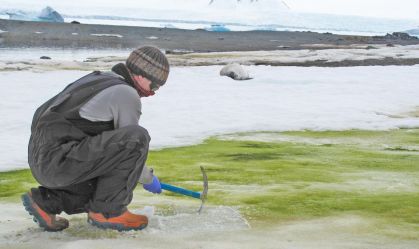 Neve fica verde na Antártica — e as mudanças climáticas vão piorar