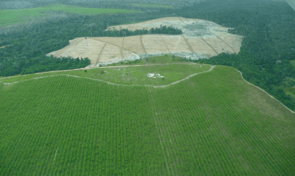 “Brasil não será protagonista dessa reunião", diz ex-BNDES sobre Cúpula do Clima