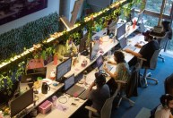 Nubank abre processo seletivo para mulheres na área de tecnologia
