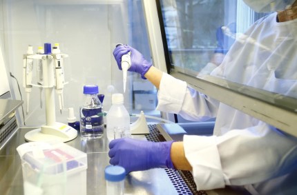 Testes para detectar o coronavírus