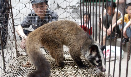 China proíbe consumo de animais silvestres após surto do novo coronavírus