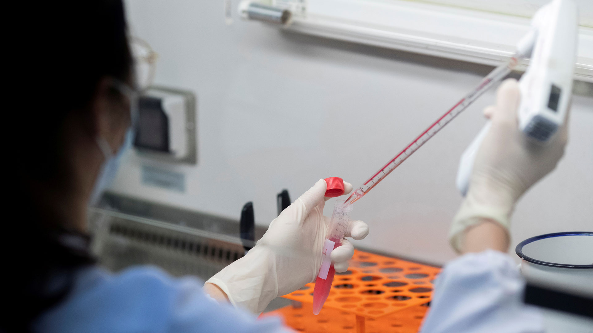 Laboratório de estudos para a Covid-19.