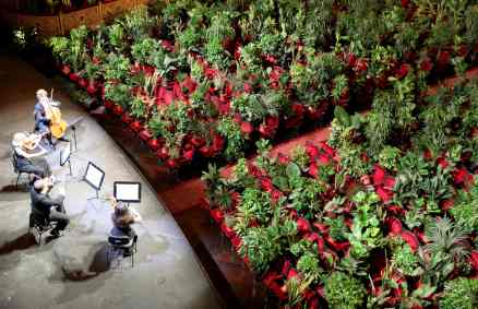 Plantas de viveiro são dispostas em assentos ao público