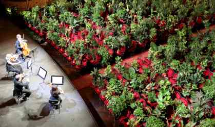 Concerto para plantas ressalta absurdo da condição humana na era do coronavírus