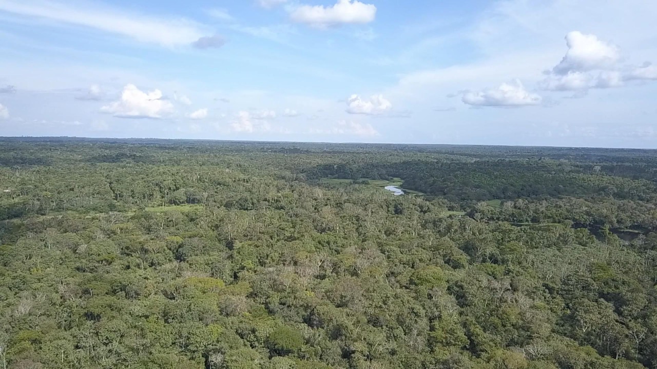 Floresta Amazônica