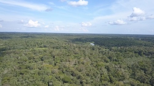 Floresta Amazônica