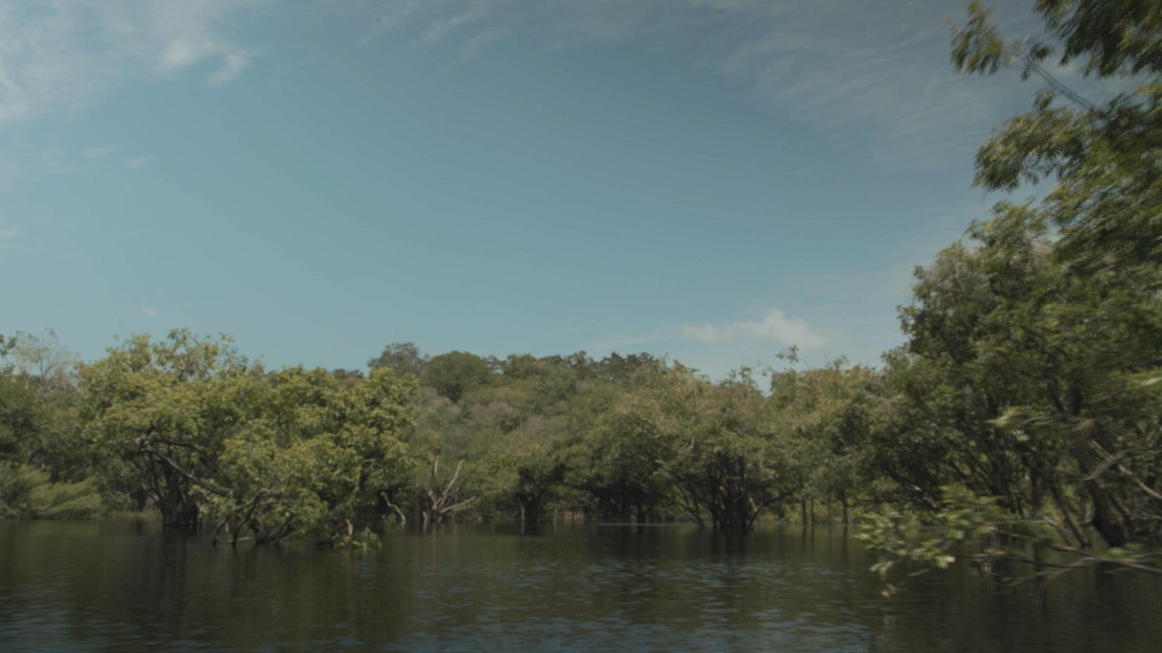 7734_8A10C9A6F94201E1-4.jpeg