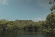 Exportação de produtos “compatíveis” com a Amazônia pode gerar receita de US$ 2,3 bi