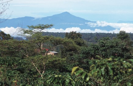 Planalto de Bolaven, no Laos