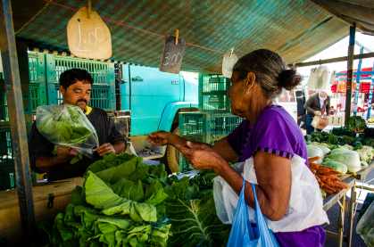 Segurança alimentar, feira