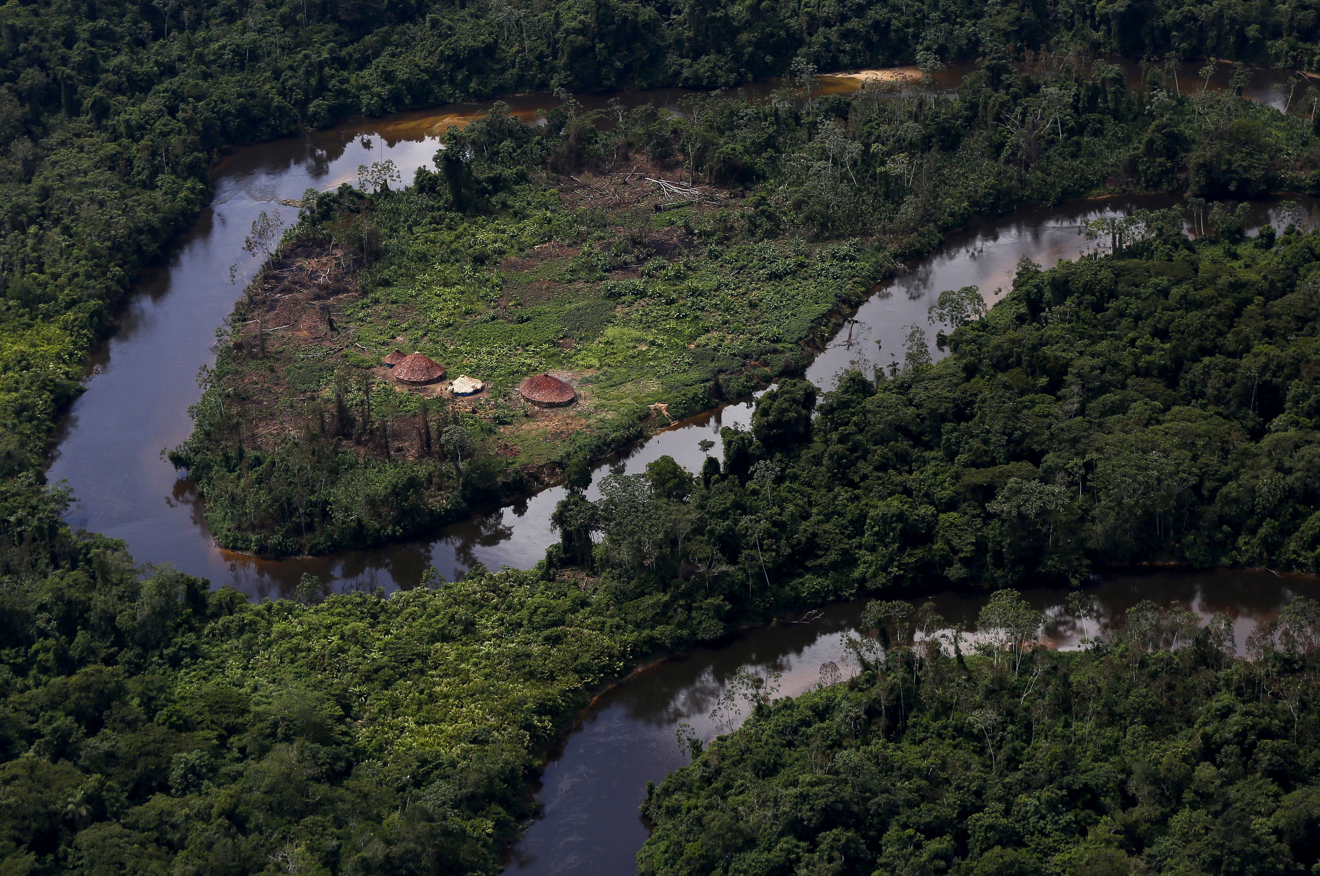 Vilarejo ianomâmi na floresta amazônica em Roraima 18/04/2016