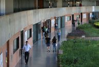 Só queremos o orçamento planejado, diz reitora da UnB sobre bloqueio de recursos do MEC
