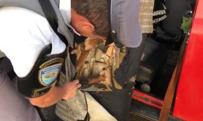 Apreensão de drogas em rodovias de SP cresce 140% durante quarentena