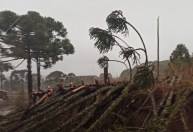 Novo ciclone leva tempestades com raios e ventos moderados ao Sul nesta quarta