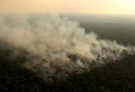 Fogo na Amazônia compromete qualidade do ar em outros países, diz ONU
