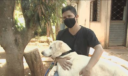 Conheça a história de Zeus, o cachorro adotado pela família Bolsonaro