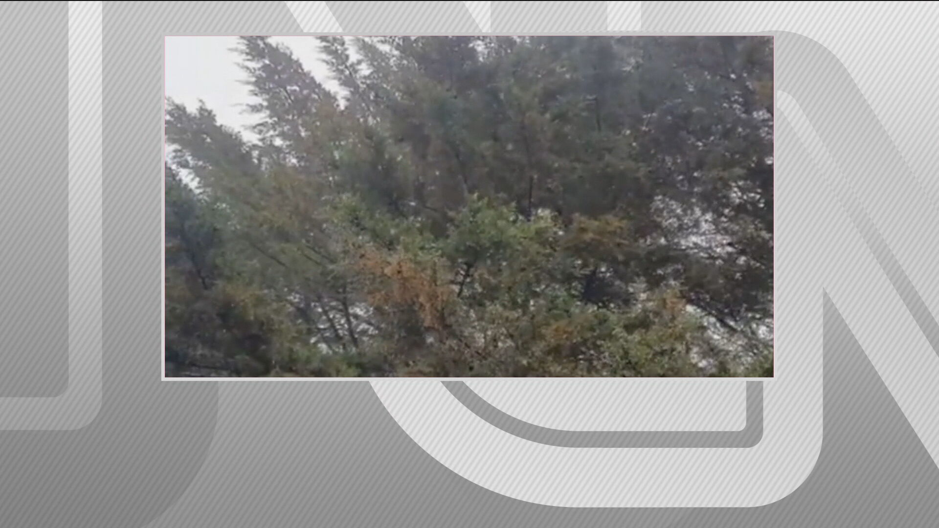 Após 'ciclone bomba,' chuva congelada chama atenção na serra catarinense 