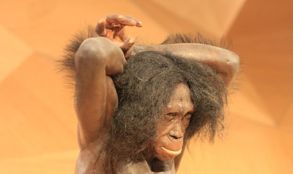 Cientistas desenvolveram mini-cérebros contendo DNA neandertal