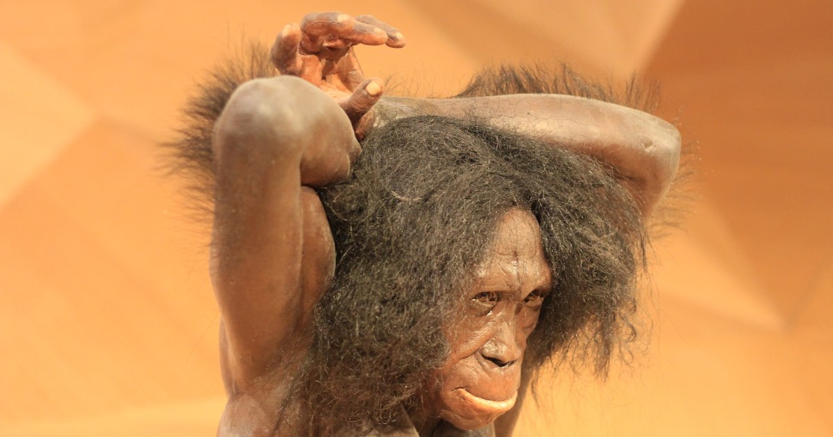 DNA neandertal: entenda como gene primata nos deixou mais fortes e altos