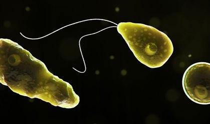 Ameba 'comedora de cérebro' é encontrada em água que abastece cidades do Texas