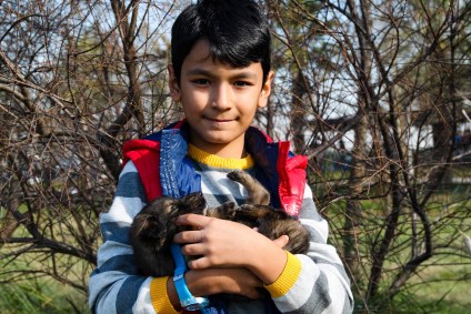 Criança segura cachorro no colo