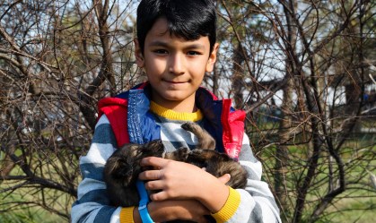 Ter um cachorro pode ajudar crianças em habilidades sociais e empatia