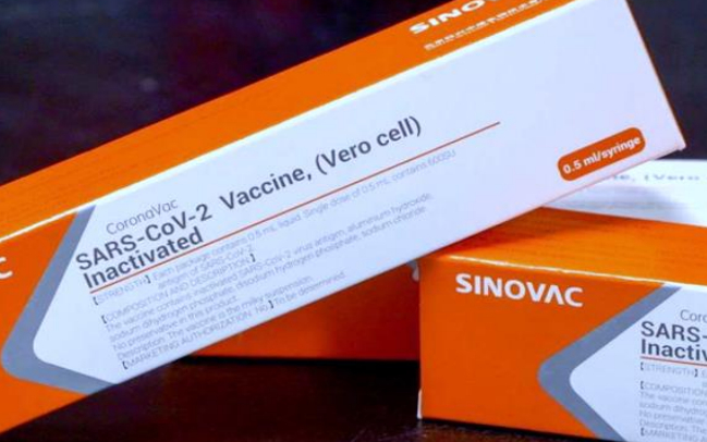 CoronaVac será testada no Brasil a partir de 20/7 em seis estados