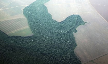 Vista aérea de zona com atividade agrícola em Alta Floresta, no Pará