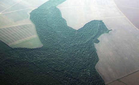 Vista aérea de zona com atividade agrícola em Alta Floresta, no Pará