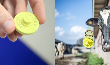 Bolsonaro edita decreto que autoriza liquidação da estatal do 'chip do boi'